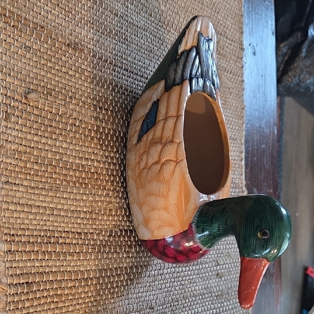 Vibrant Duck-Shaped Planter. - Picture 14 of 14